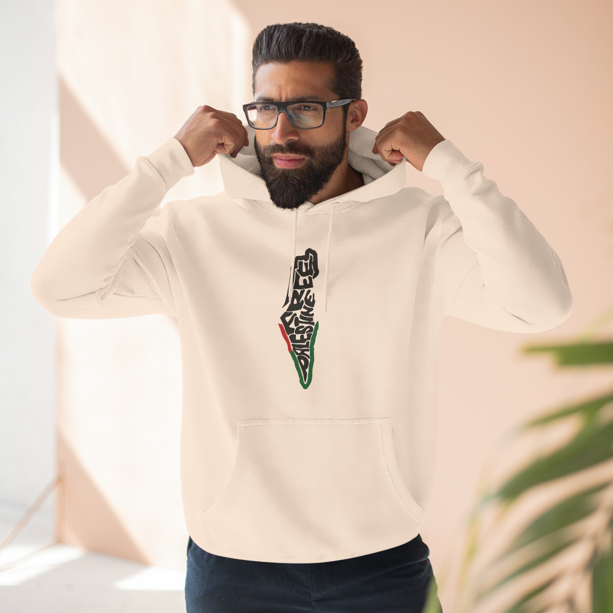 Free Palestine Map Unisex Premium Pullover Hoodie