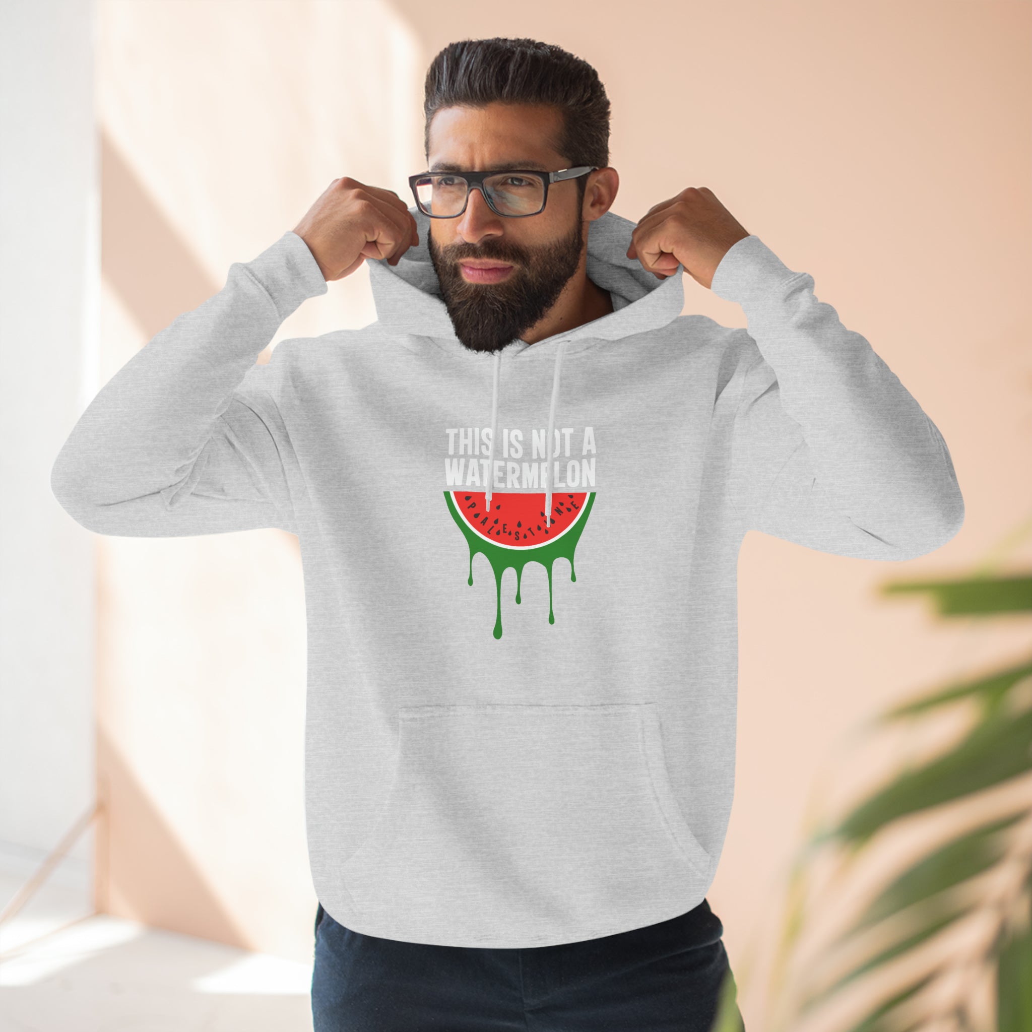 This Is Not a Watermelon Unisex Premium Pullover Hoodie