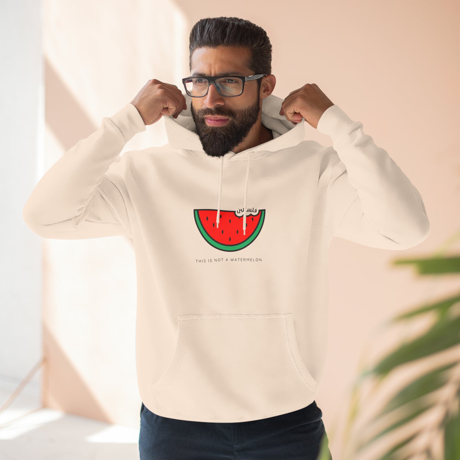 Not a Watermelon Unisex Premium Pullover Hoodie